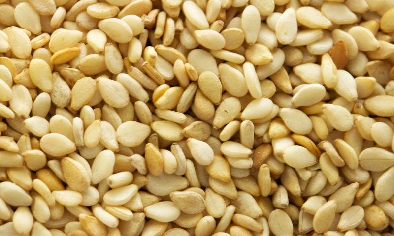 Sesame