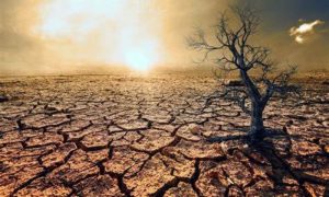 Drought Deal, Deal, UN, Talks, Riyadh, Saudi Arabia, Climate Change