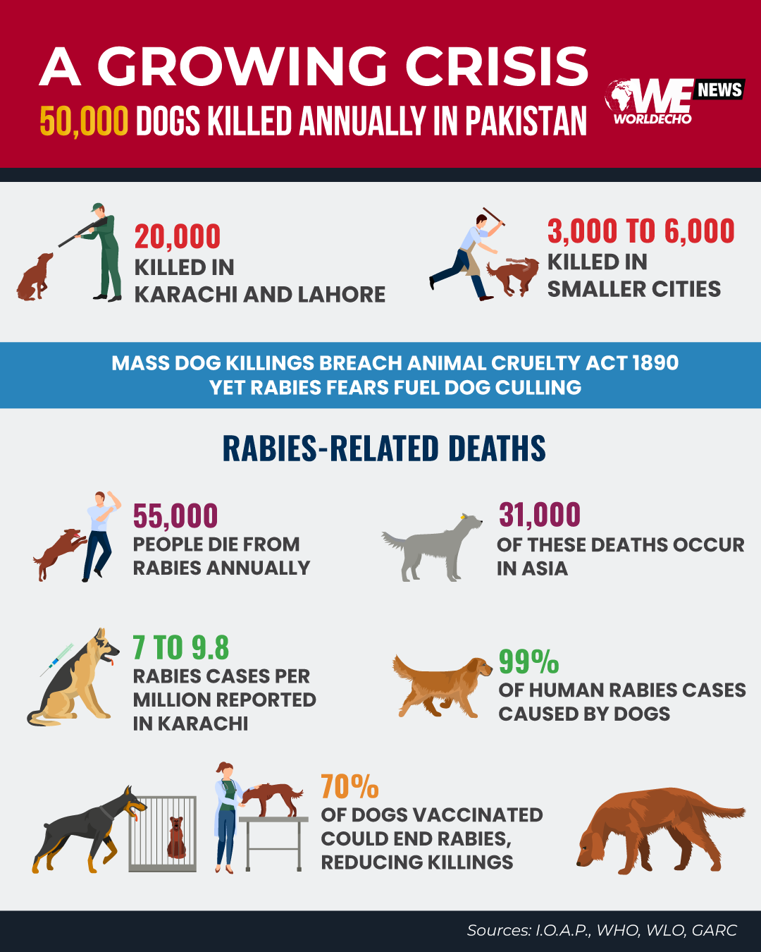 Stray Dogs 