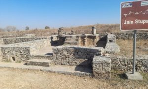 Gandhara Civilisation