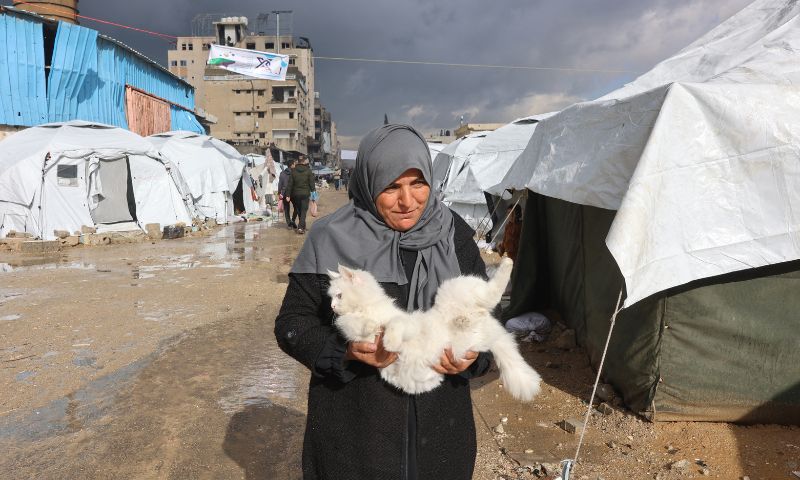 Gaza