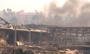 Palisades Fire