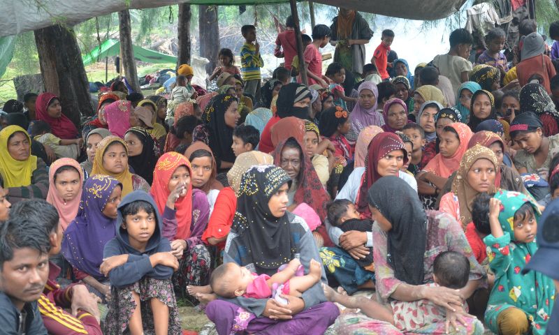 Rohingya