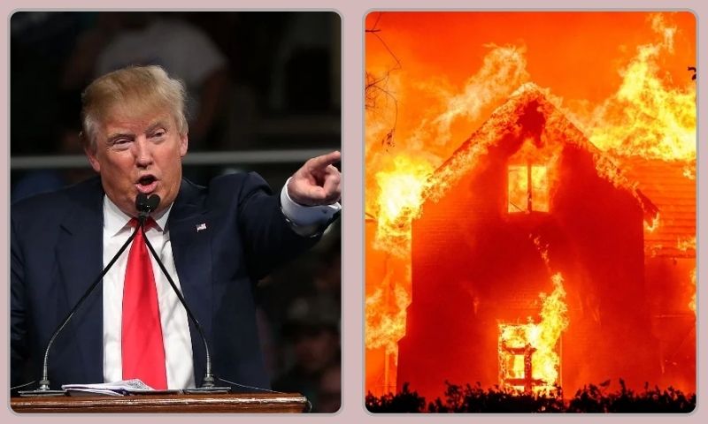 Trump, Wildfire, California, Biden, White House, Pacific Palisades, US,
