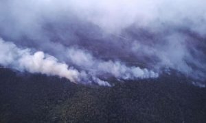 Australia, Fires, National Park, Hotter Temperatures