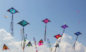Punjab, Kite Flying, Punjab Assembly,