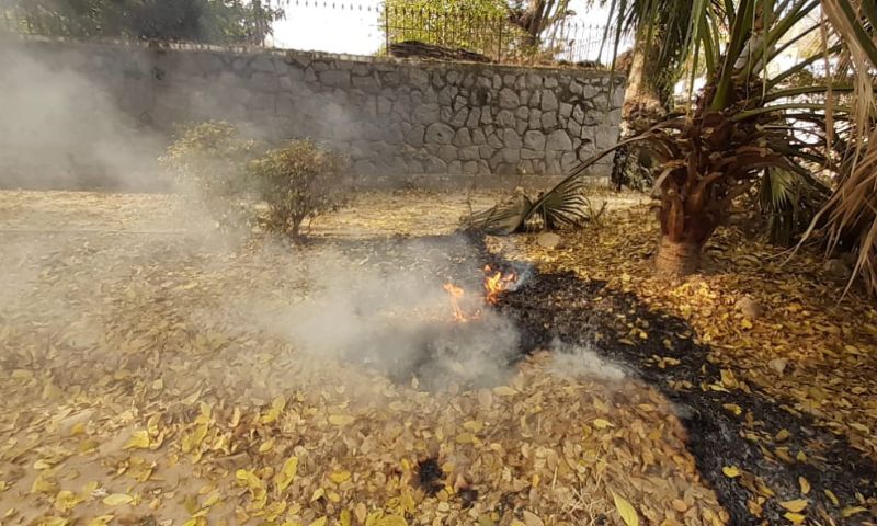 Pakistan 3 1