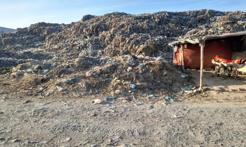 Pakistan 3