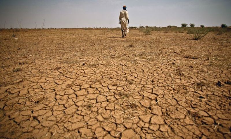 Pakistan, Drought, Rainfall, PPMD, Agriculture, Water Shortage, Water Management, Climate Change, Weather