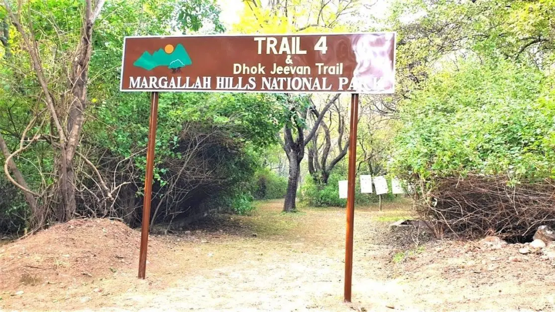 Margalla 