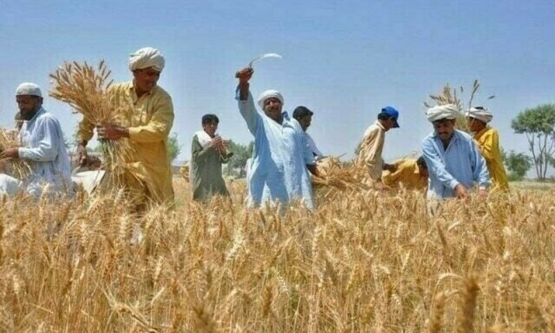 Pakistan Baisakhi 4