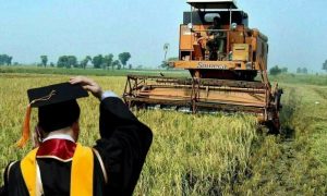 Agriculture Graduates, Pakistan, China, Agriculture, Prime Minister, Shehbaz Sharif,