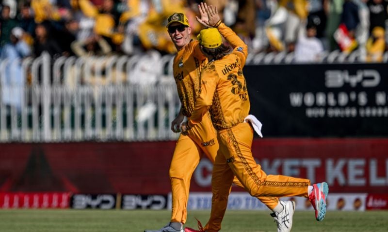 zalmi