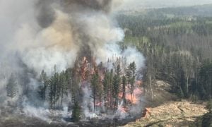 Wildfire Emergency