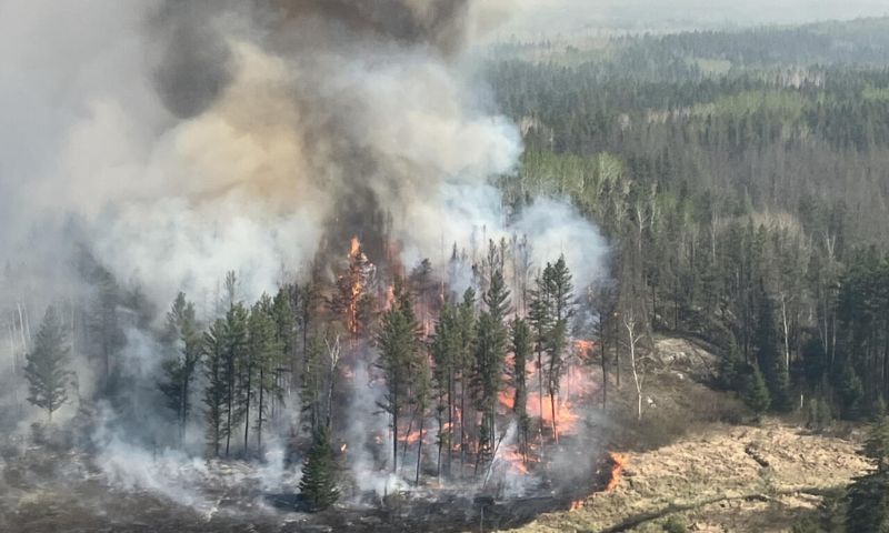 Wildfire Emergency