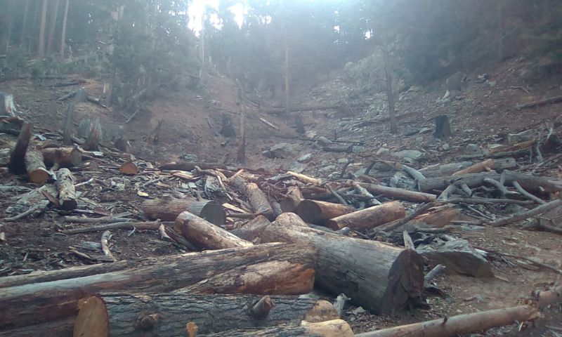 chitral 02
