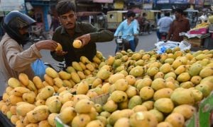Pakistan, Mangoes, Export, Middle East, Turkey, China, Australia, Punjab, Sindh, US, Japan, Korea