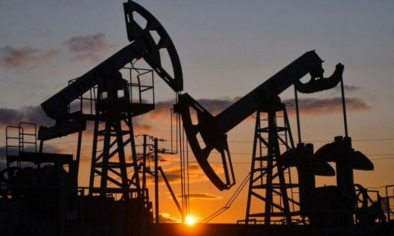 Oil