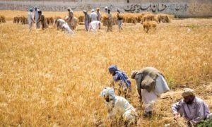 Pakistan