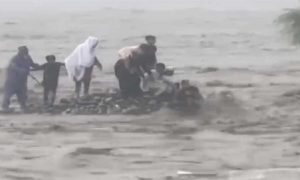Pakistan, Swat, Khyber Pakhtunkhwa, PDMA,