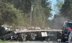 Key Points • Truck was carrying over 31,000kg of active beehives • Authorities have cordoned off sections of the area • Sudden loss of millions of bees could threaten crop productivity