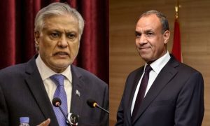 Badr Abdelatty, Pakistan, Deputy Prime Minister, Foreign Minister, Israel, Iran,