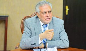 Pakistan, Deputy Prime Minister, India, Kashmir, UN Security Council.