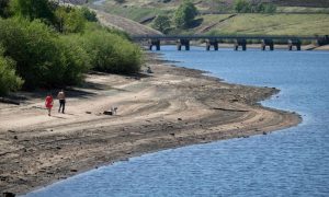 Europe, Mediterranean Basin, Drought, Extreme Weather, Climate Change,