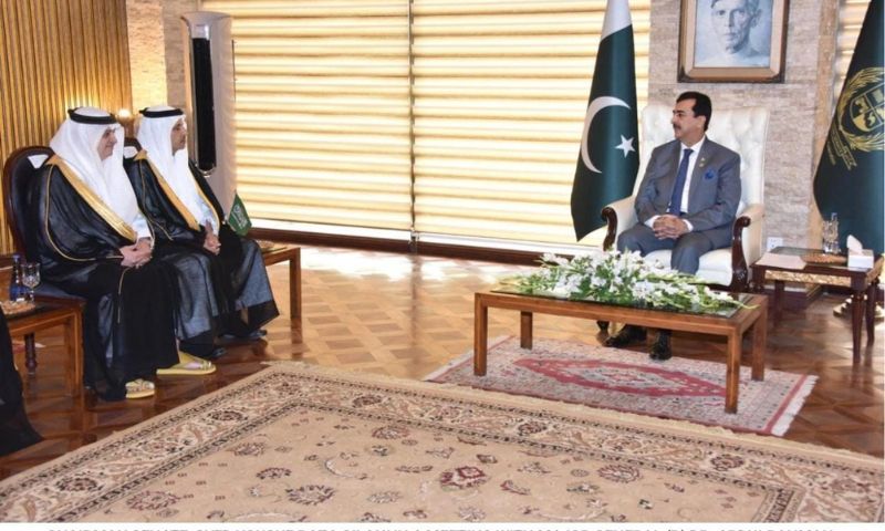 Pakistan, Saudi Arabia, Chairman Senate, Parliamentary Friendship Group, Shura Council, Crown Prince,