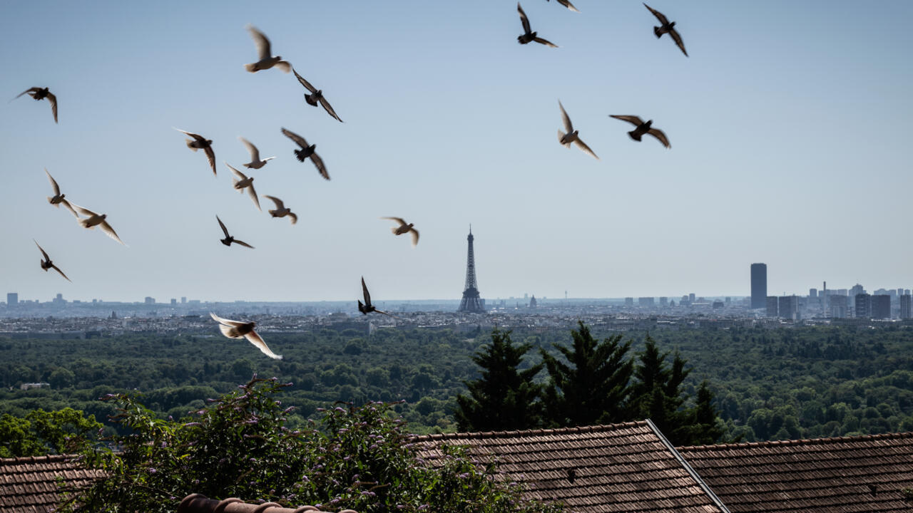 France