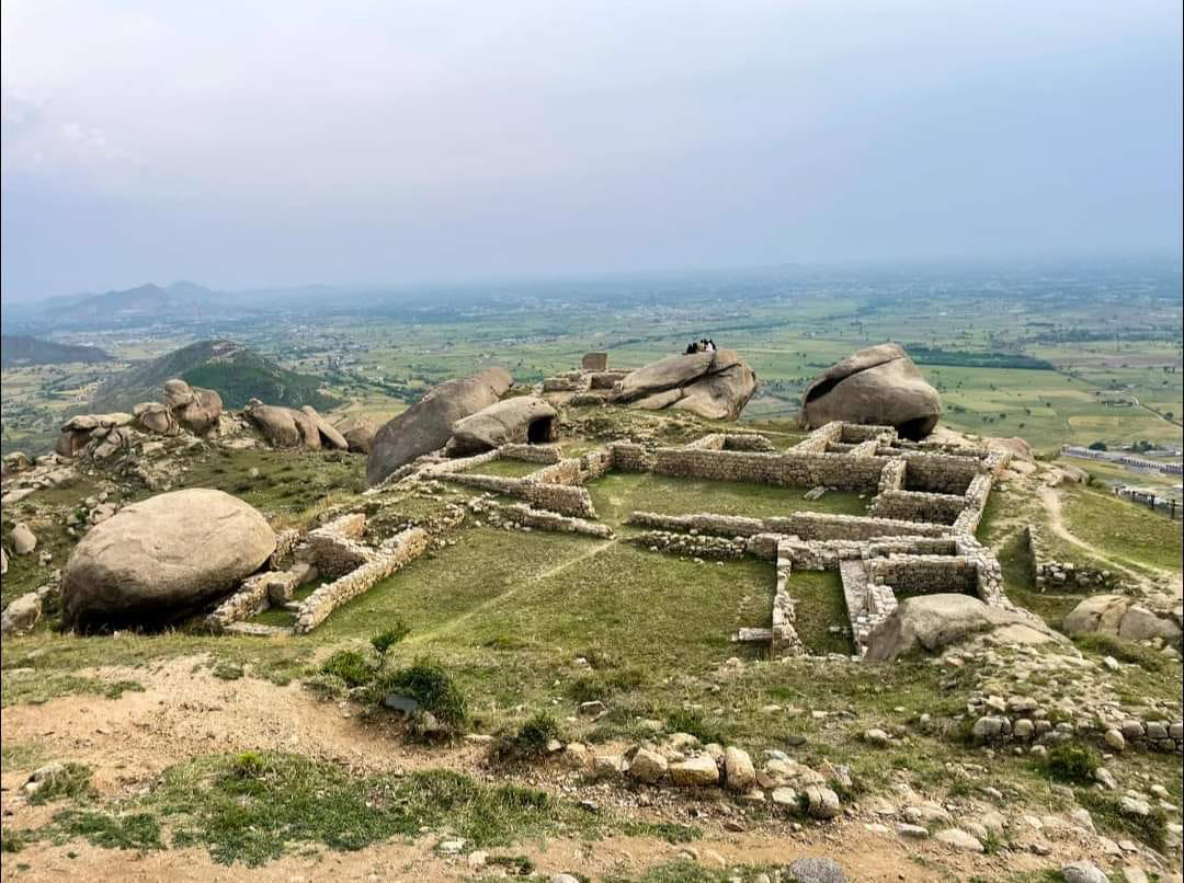 Swabi
