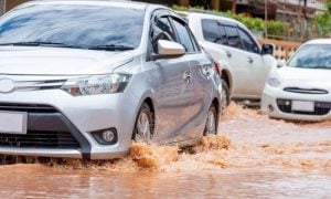 Flash Flood