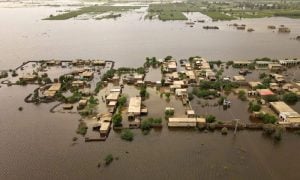 Flood