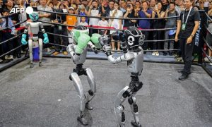 Humanoid Robots