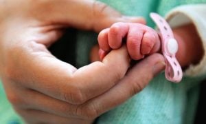 IVF
