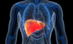 Liver Cancer