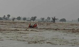 Monsoon Rain