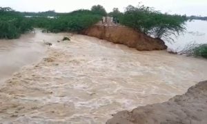 Pakistan