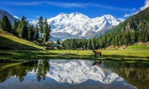 Pakistan