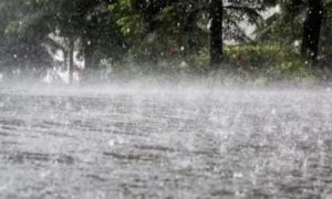 Rain
