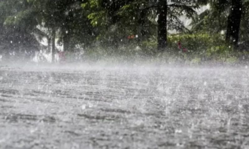 Rain
