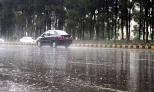 Rain