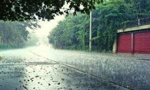 Rain