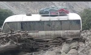 Rescue Efforts