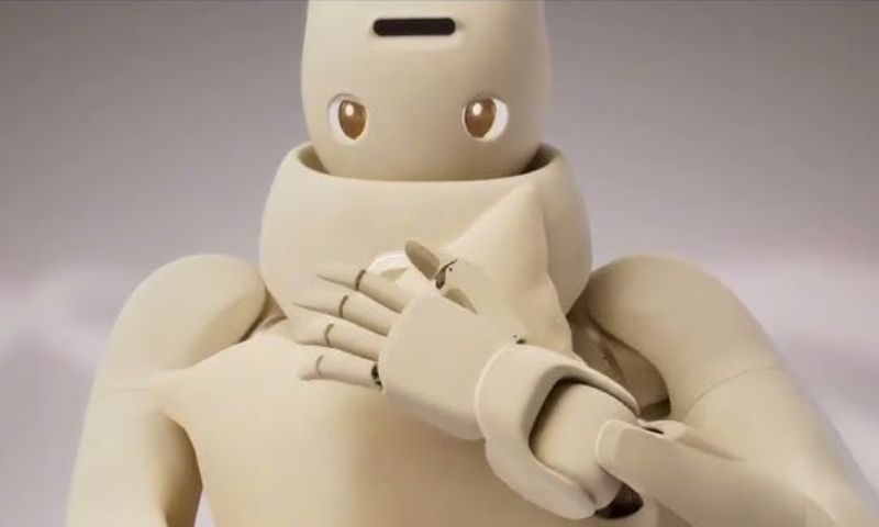 Robot