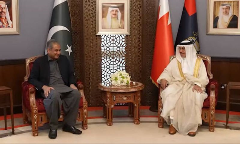 Pakistan, Bahrain, Security, Mohsin Naqvi, Manama, Interior Minister, Counter-Terrorism