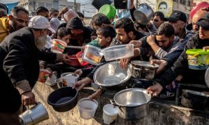 Gaza, Famine, Hunger, Starvation, Aid, Food, Palestinian, Israel, Hamas, UN, UNRWA, WFP, IPC