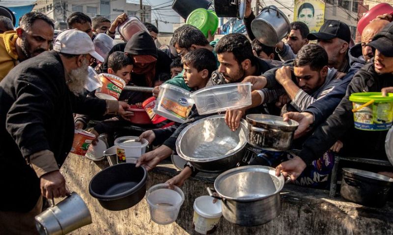 Gaza, Famine, Hunger, Starvation, Aid, Food, Palestinian, Israel, Hamas, UN, UNRWA, WFP, IPC