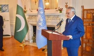 Pakistan, United Nations, UN Security Council, Deputy Prime Minister,
