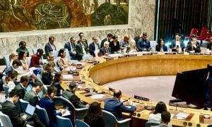 UN Security Council, Pakistan, OIC, UN, Dispute Resolution, Ishaq Dar, Deputy Prime Minister,